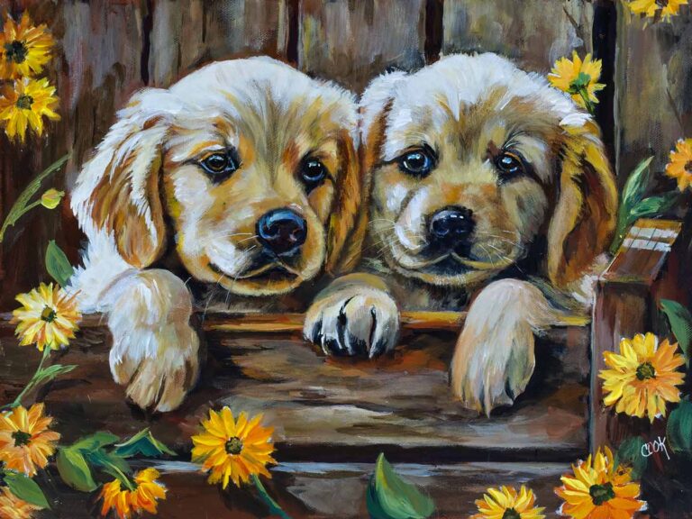 Puppies in a Box – Episode 16