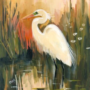 Golden Marsh Egret - YouTube Reference Only