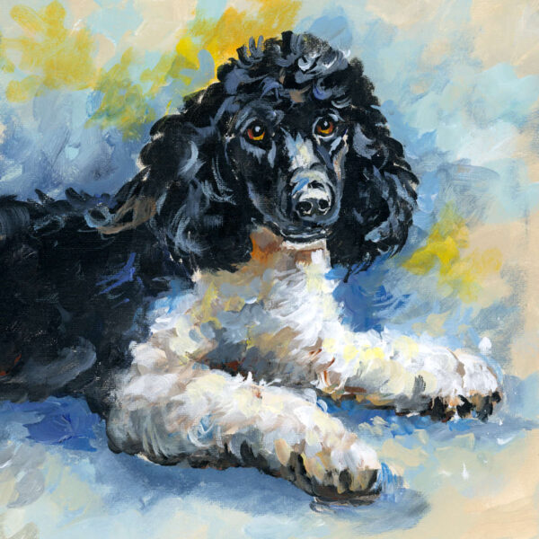 Poodle Portrait - Black and White Dog - Downloadable