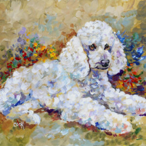 White Poodle Portrait - Downloadable