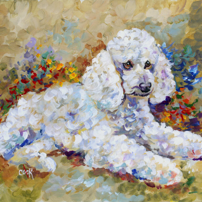 White Poodle Portrait – Downloadable