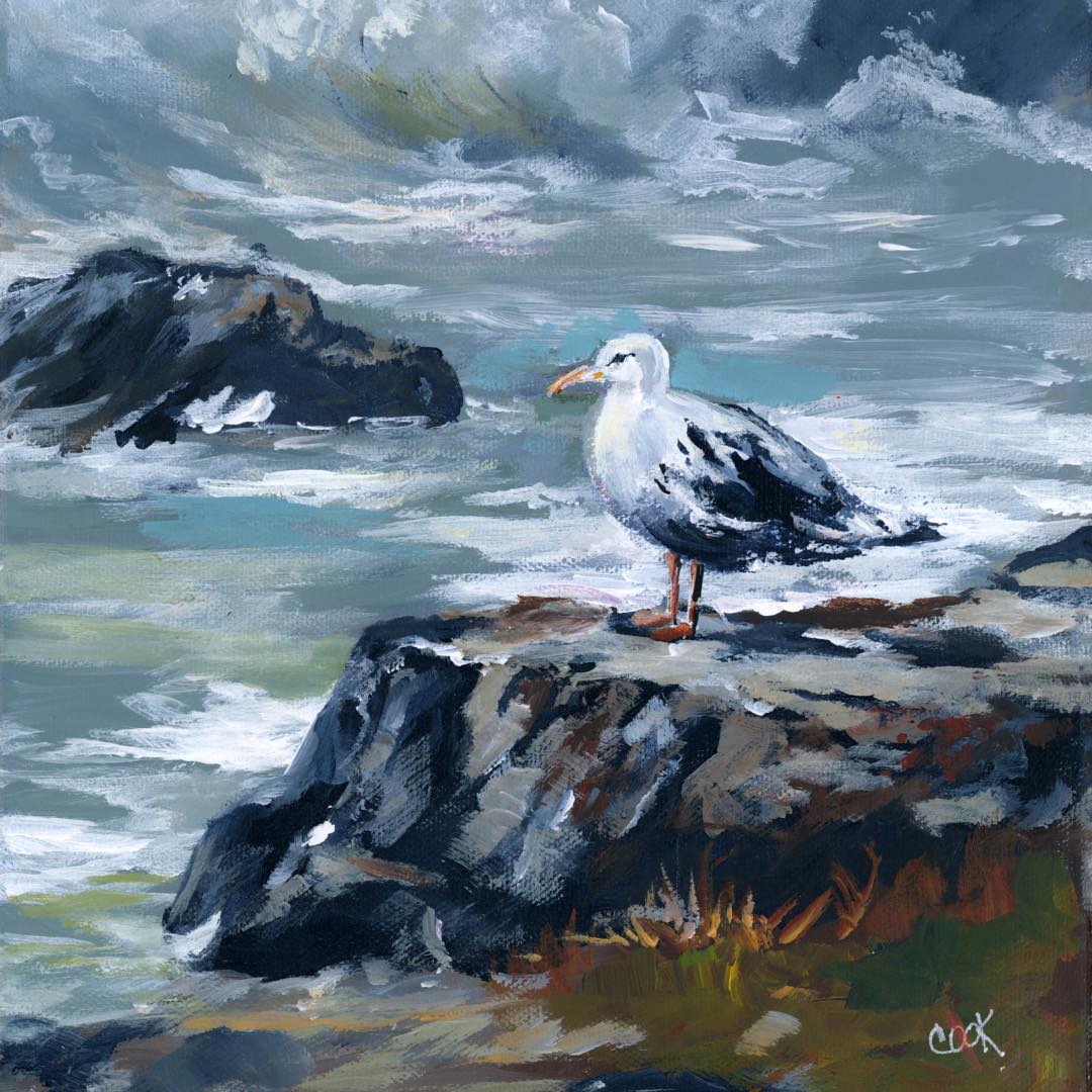 Seagull Oregon Coast – Downloadable