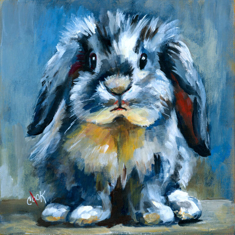 Fluffy Lop-Eared Bunny | References Only