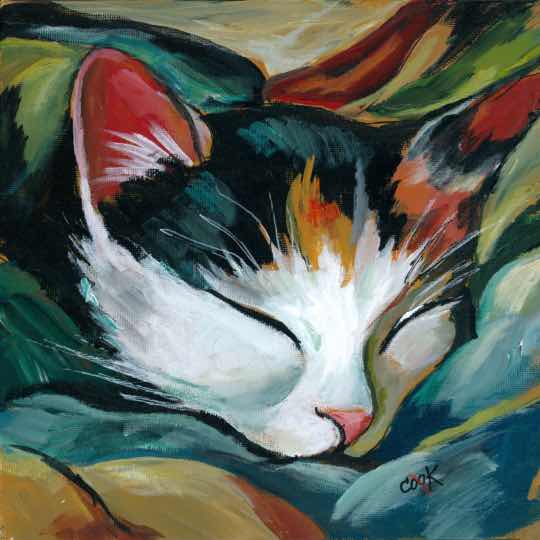 Sleeping Cat | References Only
